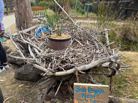 Raptor Refuge-Kettering必去景点