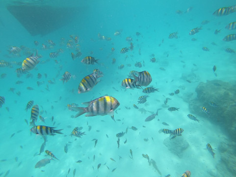 Boss Dhow-Kendwa必去景点