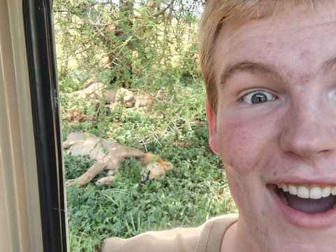 Shafino Wildlife Safaris-阿鲁沙必去景点