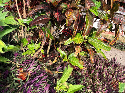 Hacienda La Chimba-圣安娜必去景点