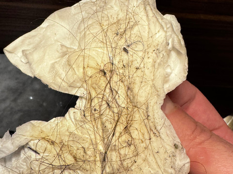 Komorebi Bakuriani Resort