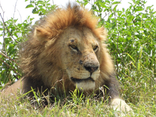 易捷旅游-一日游-阿鲁沙必去景点
