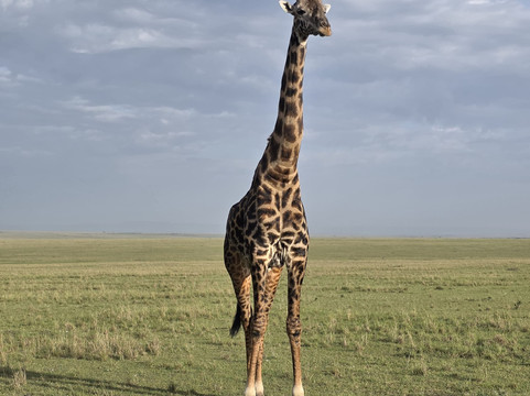 Marvels of Africa-内罗毕必去景点