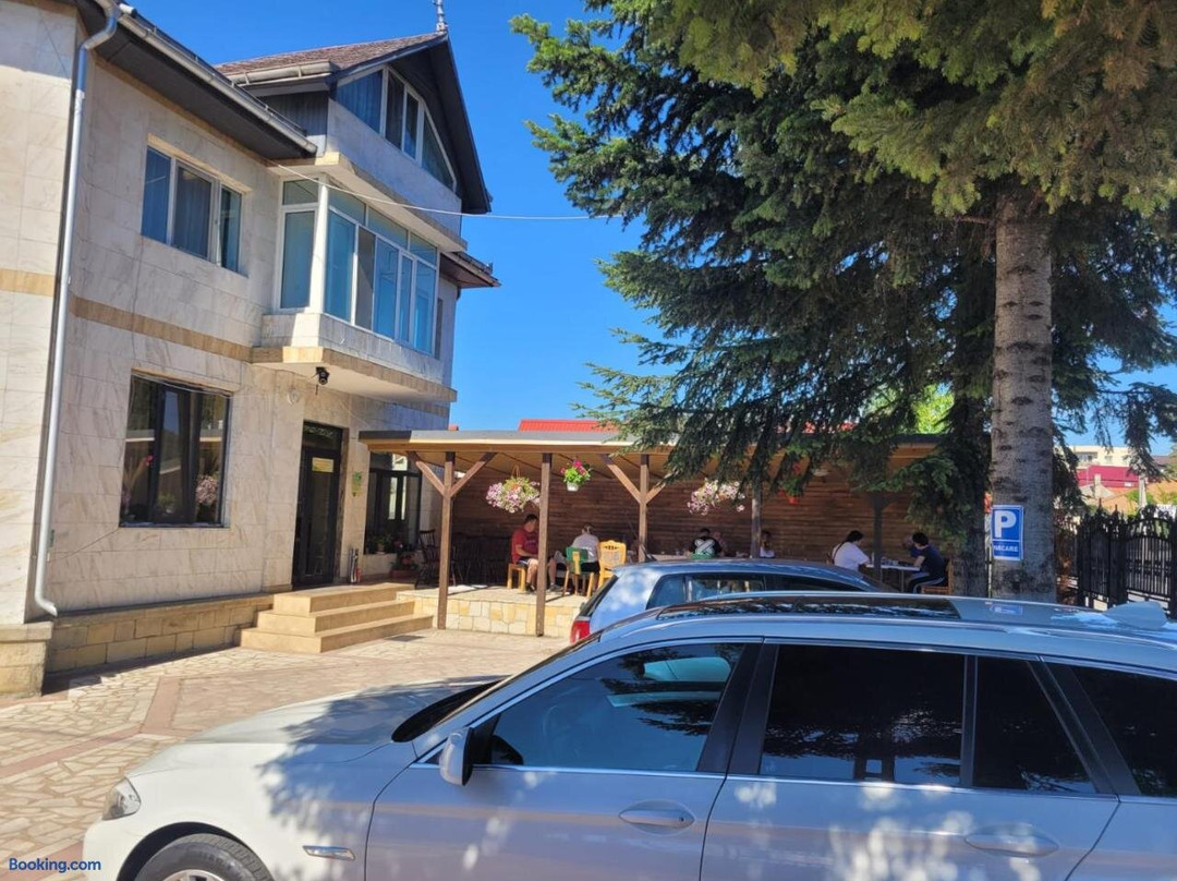 Pensiunea Trei Brazi Targu Ocna