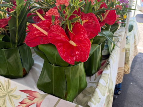 希洛农贸市场-希洛必去景点