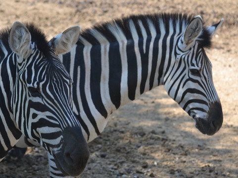 Sendanatura-Arguedas必去景点