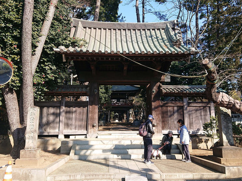 Senryuji Temple-狛江市必去景点