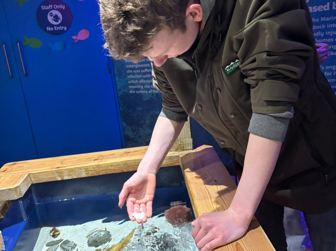 SEA LIFE Loch Lomond Aquarium-Balloch必去景点