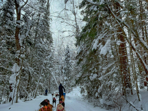 North Ridge Ranch - Dog Sledding-亨茨维尔必去景点