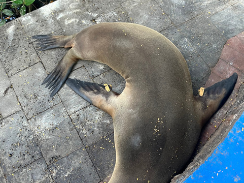 Galapagos by Local Guides-圣克鲁斯必去景点