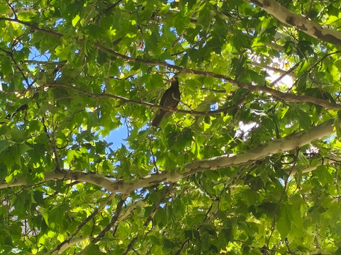 太阳小屋酒店主图