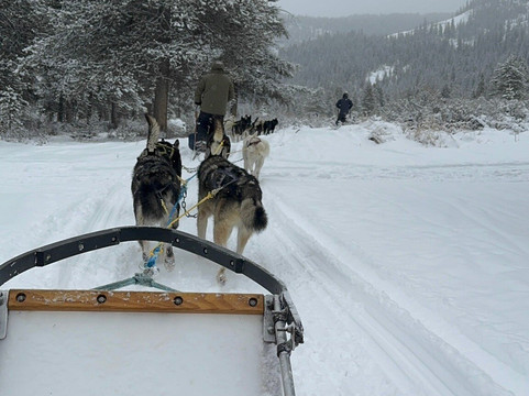 Back Country Adventures-西黄石镇必去景点