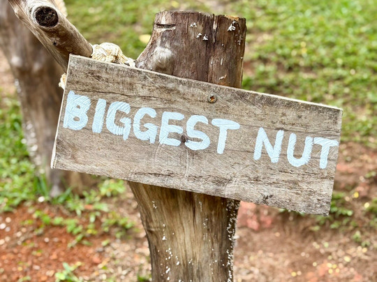 Vallée Des Fruits-大安塞区必去景点