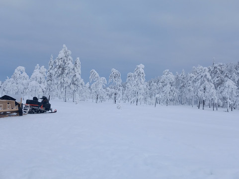 Aavasaksa Adventures-Ylitornio必去景点