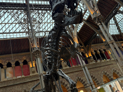 牛津大学自然历史博物馆-牛津必去景点