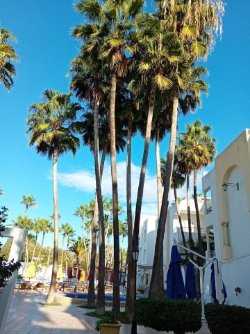 哈玛麦德内斯瑞尼酒店-浴室