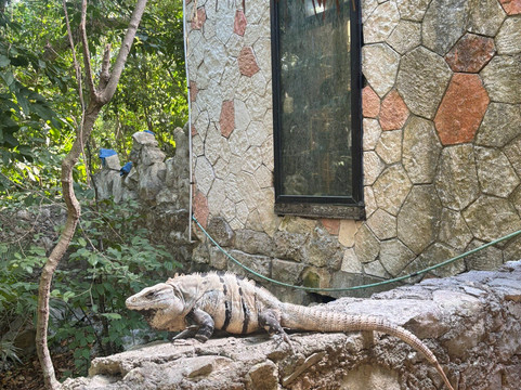 Cenote Azul-尤卡坦半岛必去景点