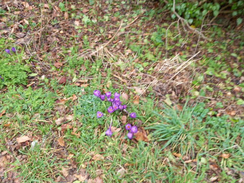 Saint Mary-Le-More-沃灵福德必去景点