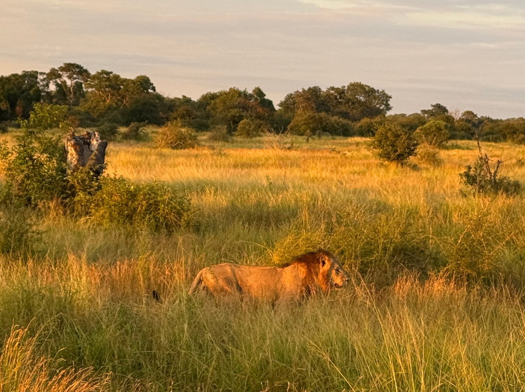 Wild And Free Safaris-霍德斯普鲁特必去景点