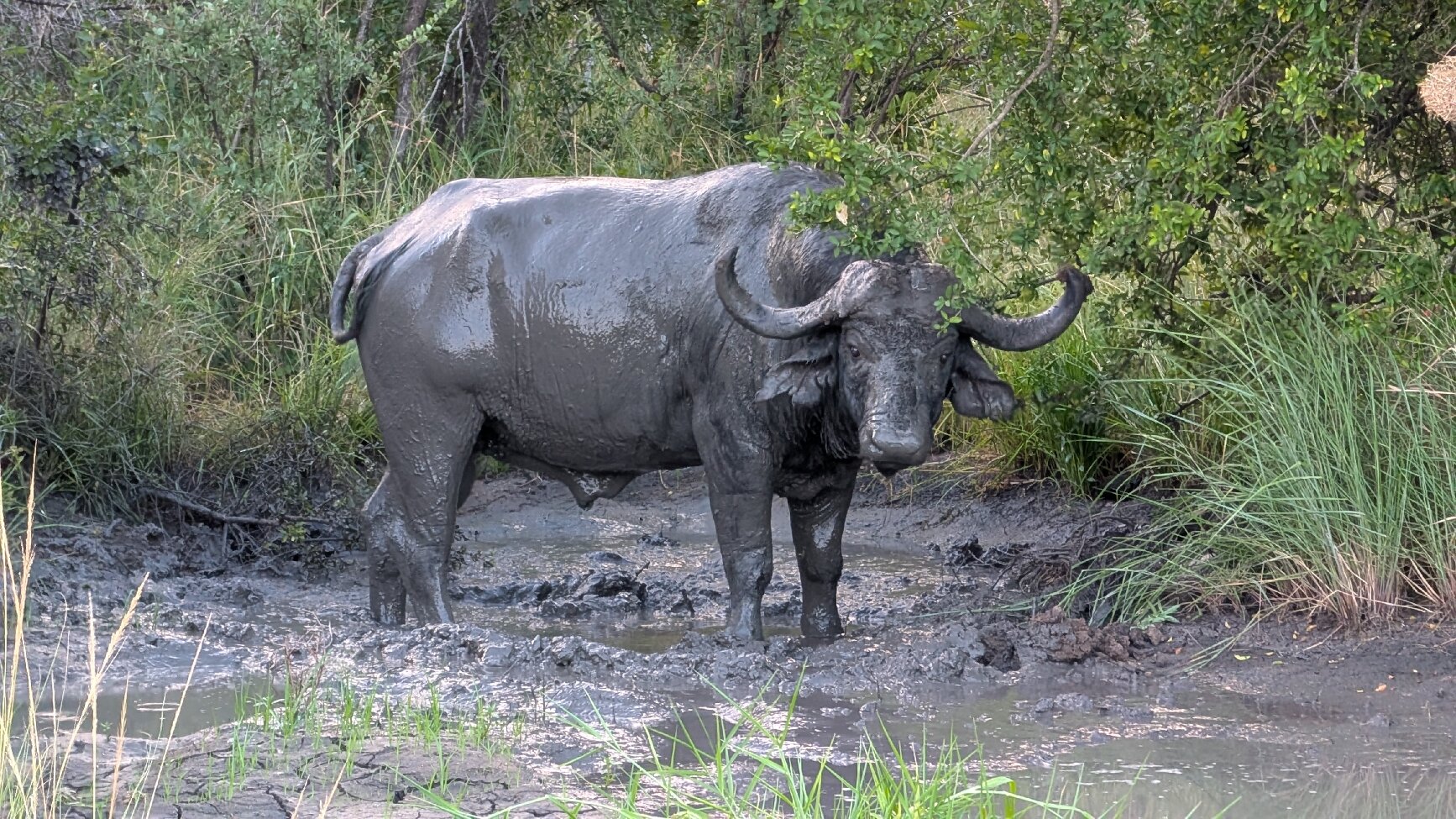 豹山私人动物保护区酒店-官方