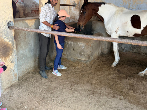 A Baisa’s Adventures-Shekhawati必去景点