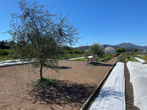 Casas del Bosque-卡萨布兰卡必去景点