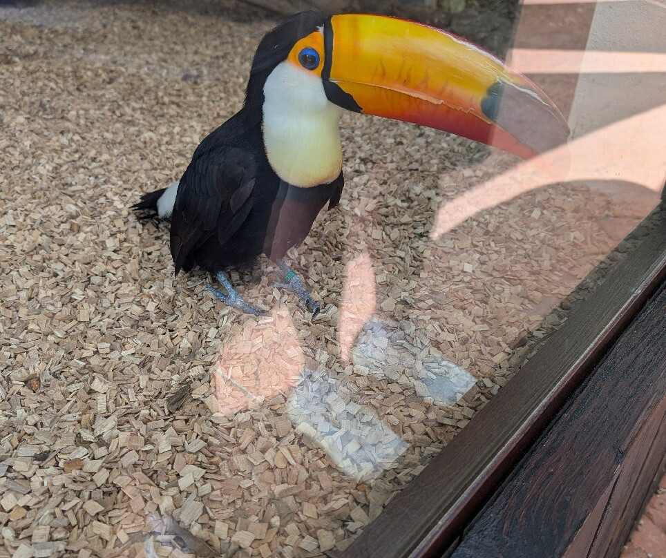 Selwo Marina-班纳玛德纳必去景点