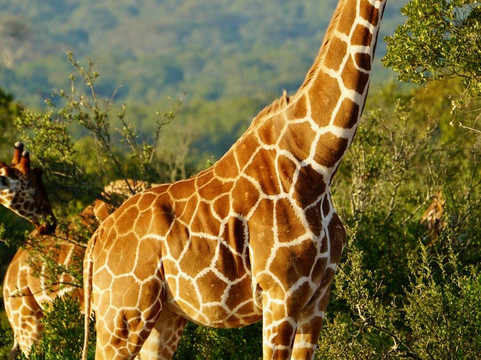 Odyssey Safaris-南由基必去景点