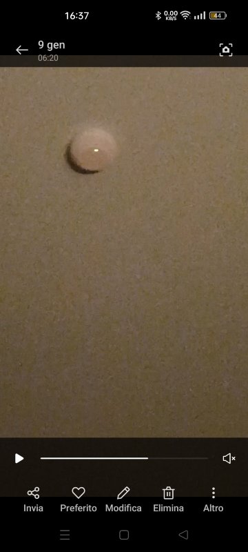 布鲁阿雷娜酒店-官方