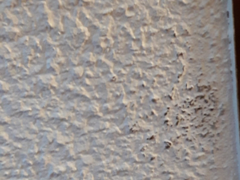 加莱康铂饭店主图