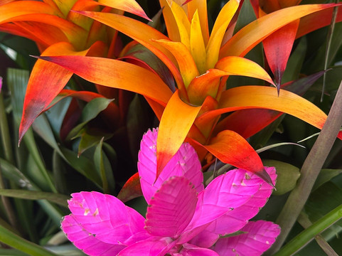 Worth Avenue-棕榈海滩必去景点