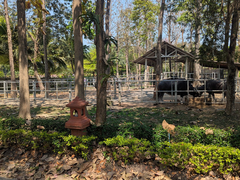 Tweechol Botanic Garden-雷沙革必去景点