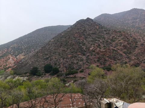 乌利吉酒店主图