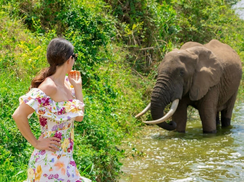 PETNAH AFRICA TOURS-坎帕拉必去景点