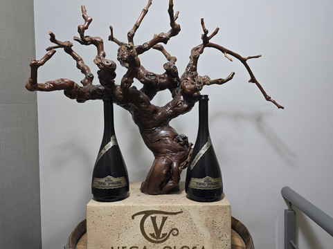 Bodega Vega Tolosa-Casas Ibanez必去景点