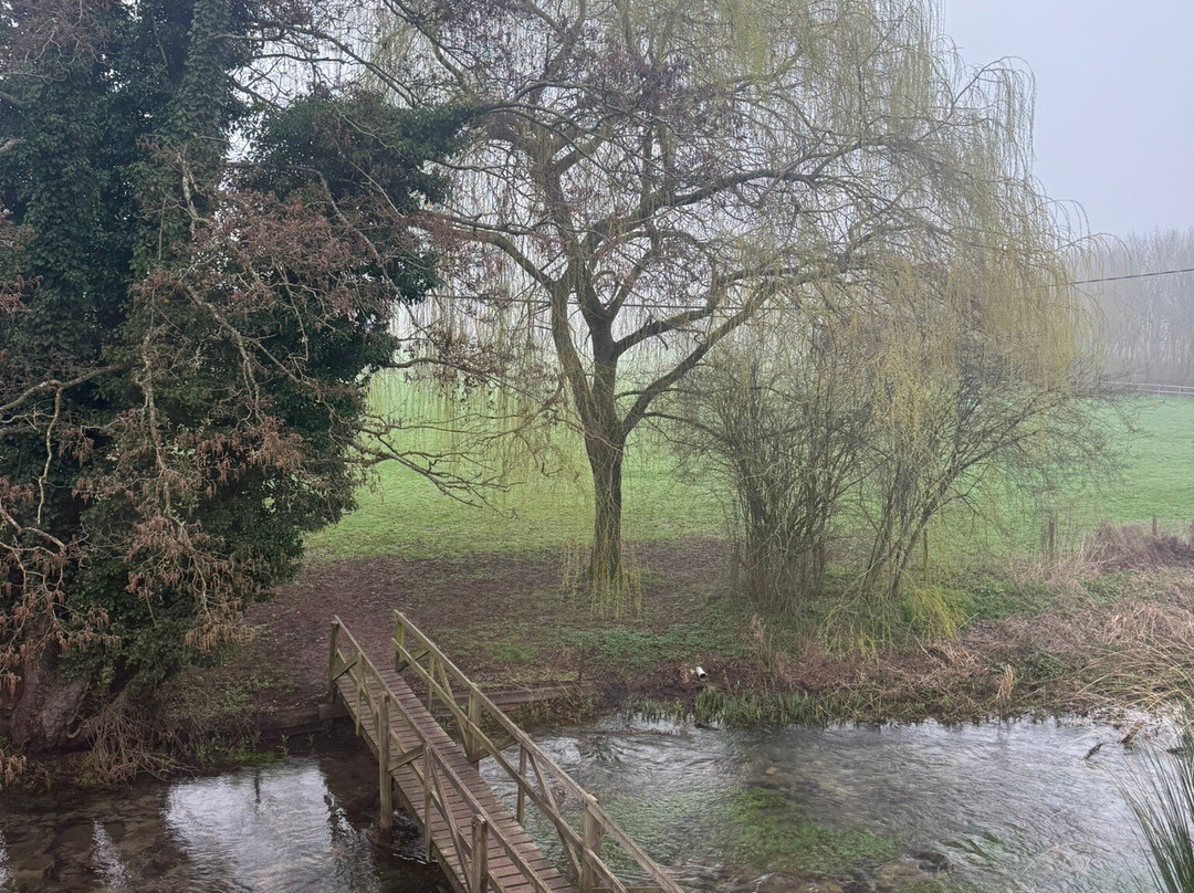 野百合与蜂蜜主图