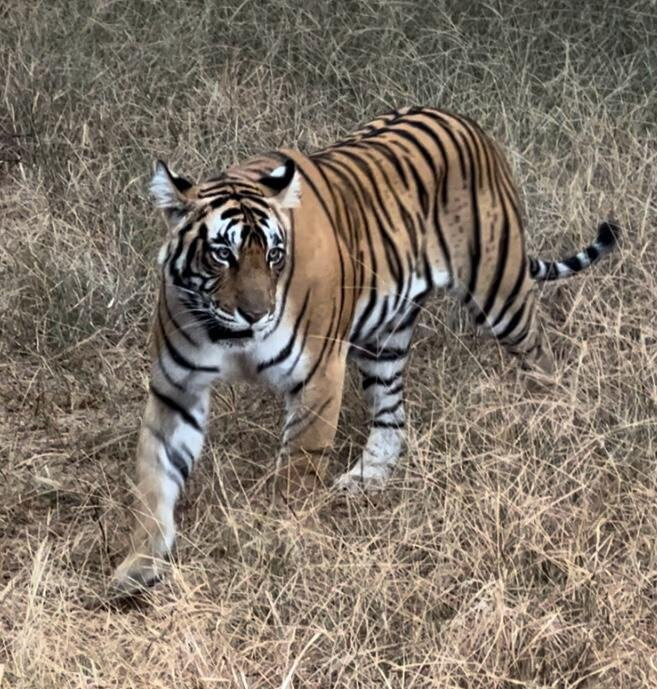达斯图塔多巴主图