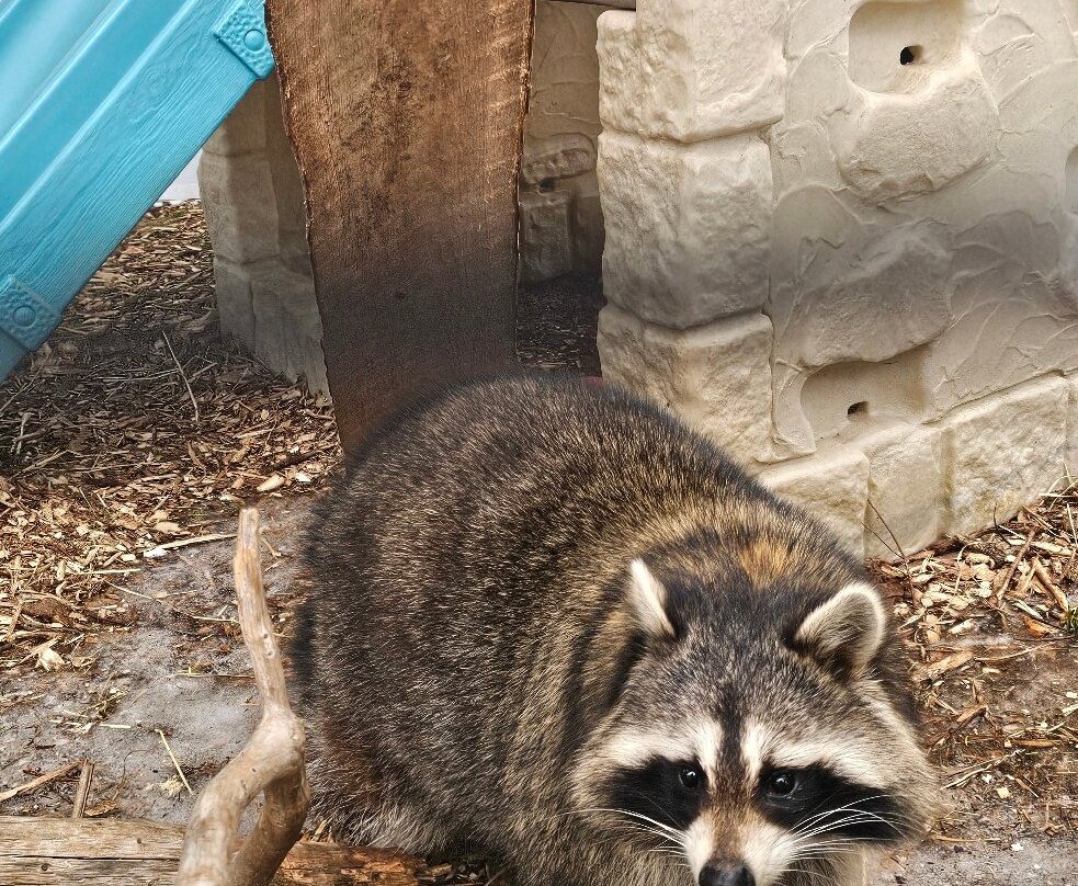 Hope For Wildlife-Seaforth必去景点