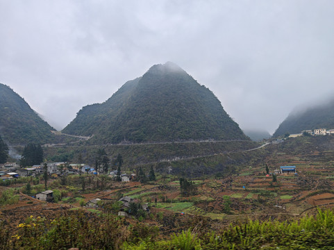 哈革良Yolo房屋和环游主图