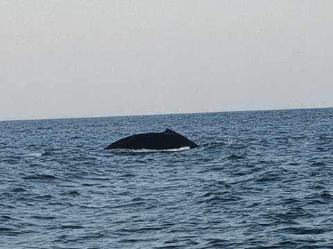 Tony Lopez Lopez-Santa Maria Huatulco必去景点