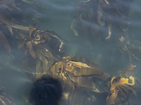 Cape Coast Expeditions-Yzerfontein必去景点