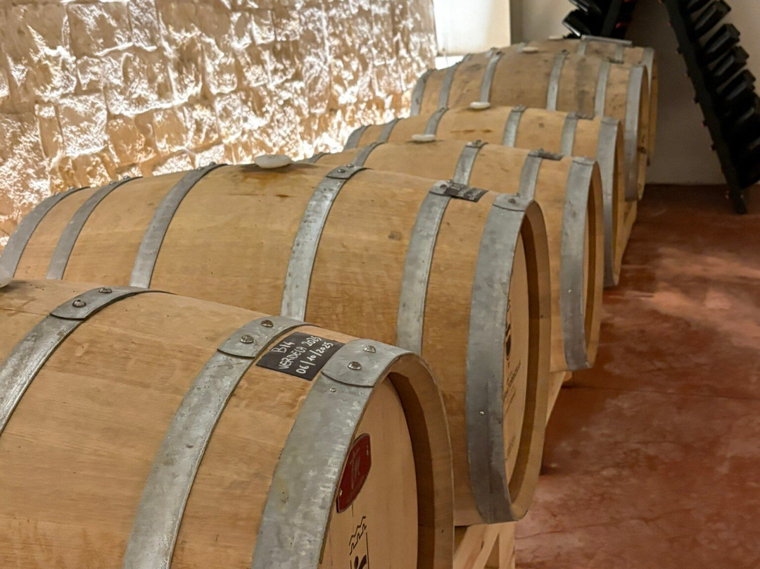 Cantina Masseria Torricella-阿尔贝罗贝洛必去景点
