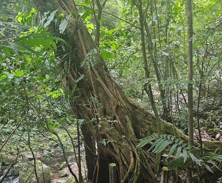 El Chorro Macho-安东谷必去景点