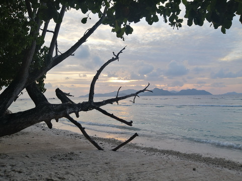 Karim's Fruits Bar-La Digue必去景点