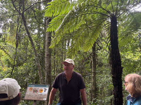 Blue Mountains Tours-格兰布鲁克必去景点