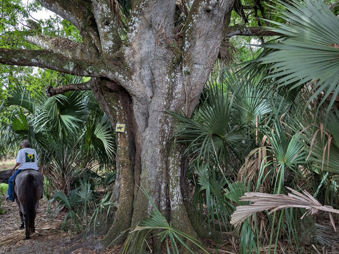 Wagon Wheel Horse Farm-奥基乔比必去景点