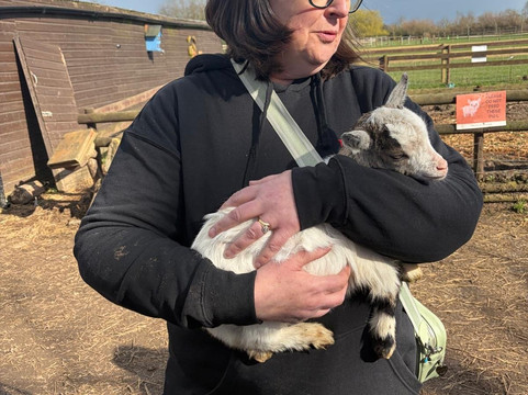 Lucky Tails Alpaca Farm-Atherstone必去景点