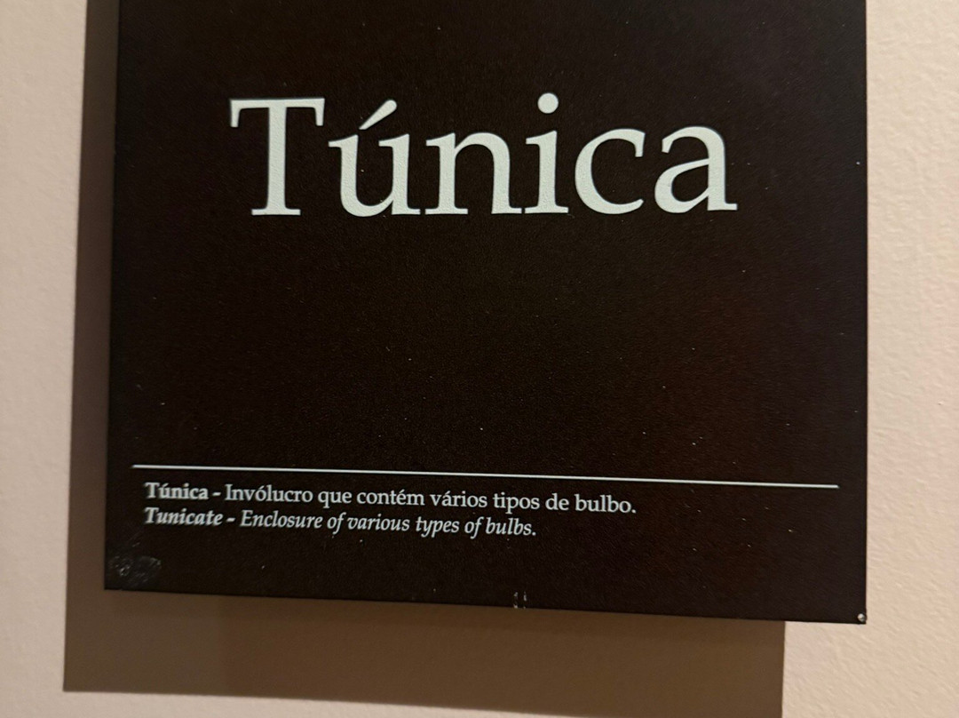 Six Senses Botanique主图