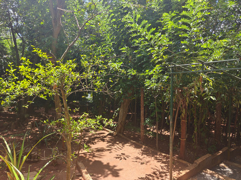 Sirilak Spice & Herbal Garden-Matale必去景点