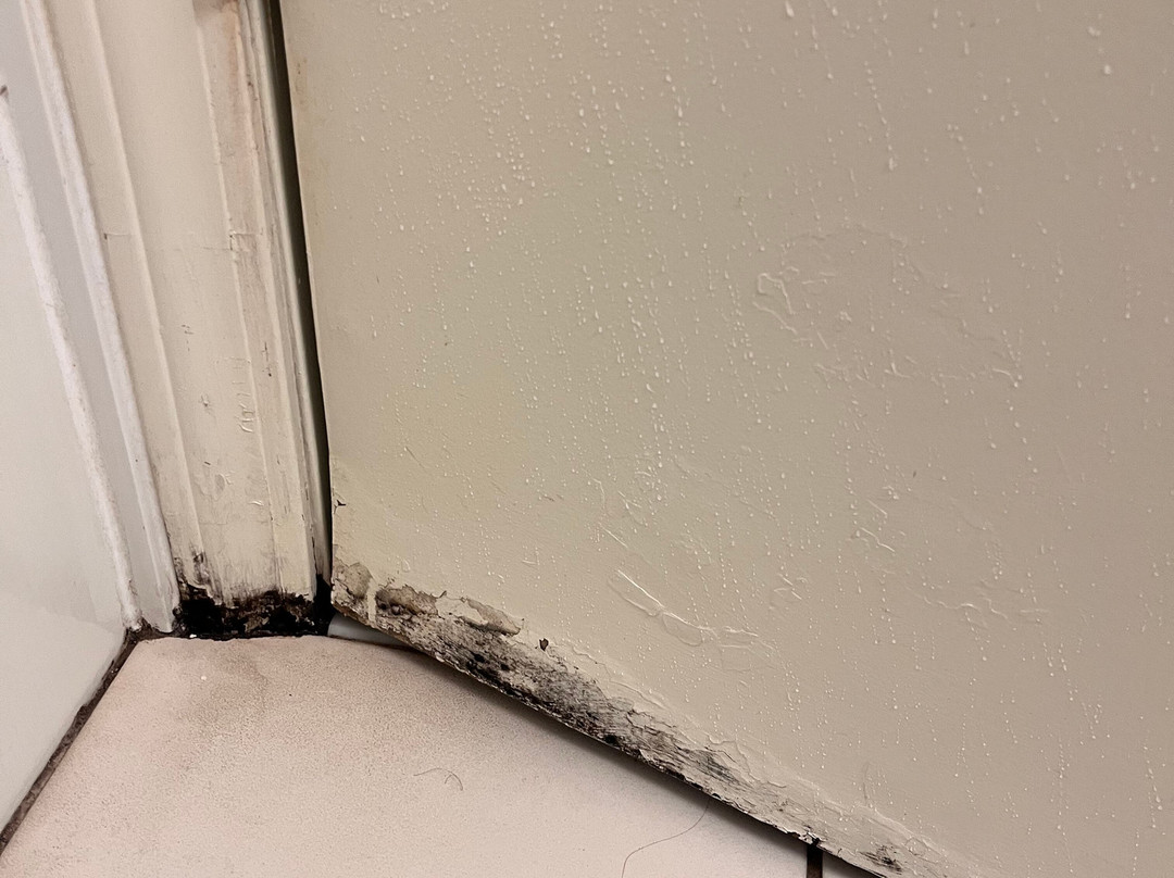 智选假日套房酒店里士满北阿什兰主图